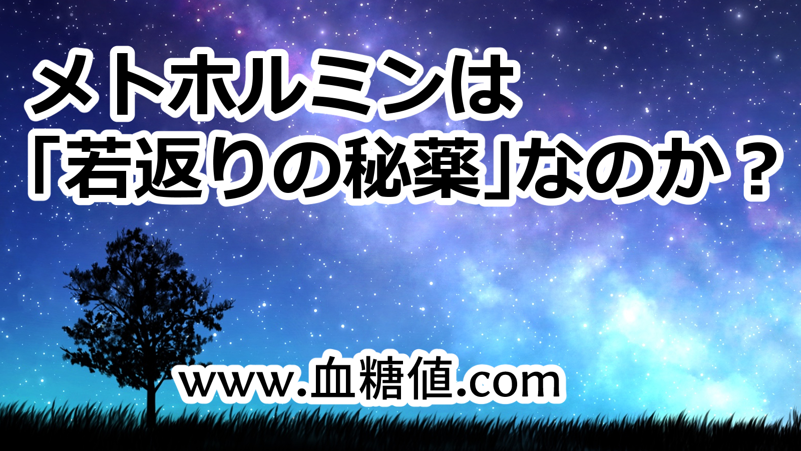 メトホルミンさえ飲めば老化を防げるのか?